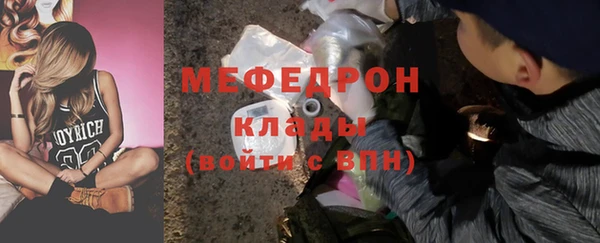 индика Беломорск