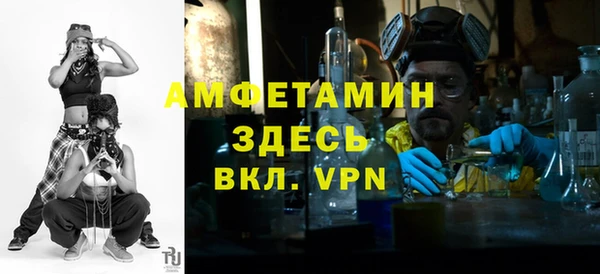 индика Беломорск