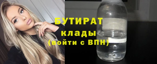 индика Беломорск