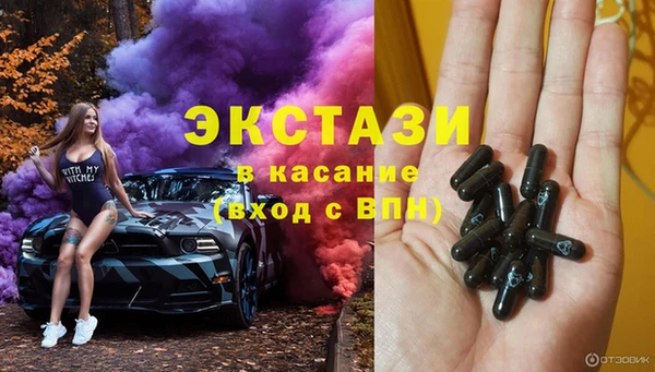 индика Беломорск