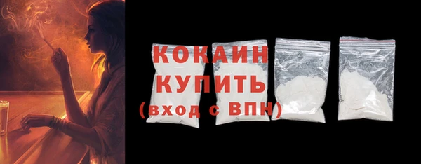 индика Беломорск
