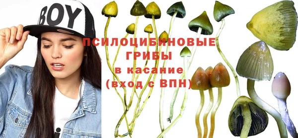 индика Беломорск