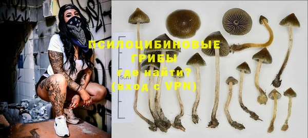 марихуана Белокуриха