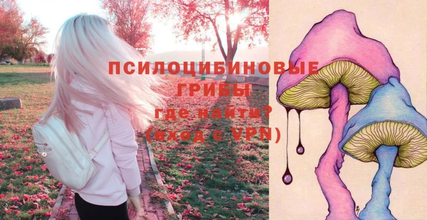 индика Беломорск